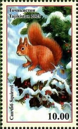 Squirrels