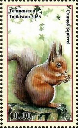 Stamp, Squirrels, Tajikistan,  , Squirrels