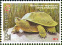 Stamp, European Pond Turtle (Emys orbicularis), Transnistria,  , Amphibians, Animals (Fauna), Landscapes, National Parks, Reptiles, Turtles