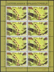 Full Pane, European Tree Frog (Hyla arborea), Transnistria,  , Amphibians, Animals (Fauna), Frogs, National Parks