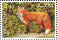 Red Fox (Vulpes vulpes)
