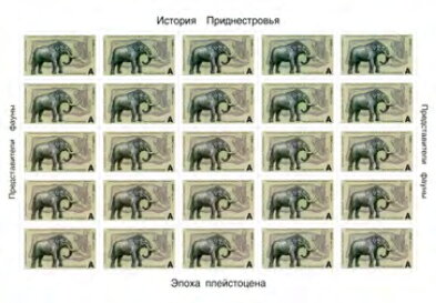 Full Pane, Trogontherium Elephant (Mammuthus sp.), Transnistria,  , Animals (Fauna), Elephants, Mammals, Prehistoric Animals