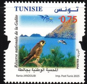 Stamp, Jalita Nature Reserve, Tunisia,  , Birds, Environment Protection, Euromed, Parks