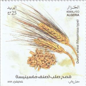 Stamp, Massinissa Durum Wheat, Algeria,  , Agriculture, Plants (Flora)