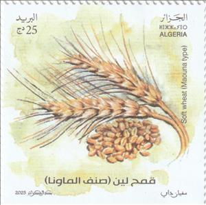 Stamp, Mawuna Soft Wheat, Algeria,  , Agriculture, Plants (Flora)