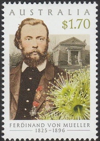 Ferdinand Von Mueller and Kunzea muelleri