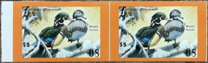 Stamp, Wood duck (Aix sponsa), California (CA),  , Animals (Fauna), Birds, Ducks, Hunting