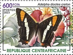 Adelpha diocles creton