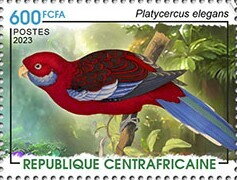 Crimson rosella (Platycercus elegans)