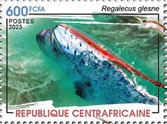 Giant Oarfish (Regalecus glesne)