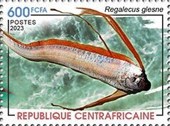 Giant Oarfish (Regalecus glesne)