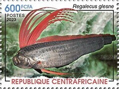 Giant Oarfish (Regalecus glesne)