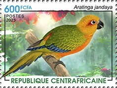 Jandaya parakeet (Aratinga jandaya)