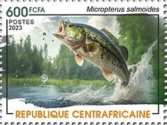Largemouth bass (Micropterus salmoides)