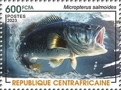 Largemouth bass (Micropterus salmoides)