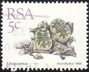 Stamp, Lithops dorotheae, South Africa,  , Cacti