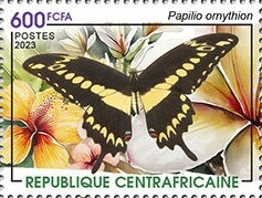 Ornythion Swallowtail (Papilio ornythion)