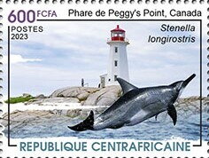 Peggys Point Light, Canada - Spinner dolphin