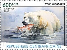 Polar bear (Ursus maritimus)