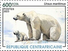 Polar bear (Ursus maritimus)