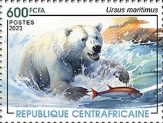 Polar bear (Ursus maritimus)