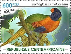 Rainbow lorikeet (Trichoglossus moluccanus)