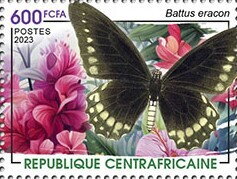 Stamp, West-Mexican Swallowtail (Battus eracon), Central African Republic,  , Animals (Fauna), Butterflies and Moths, Insects