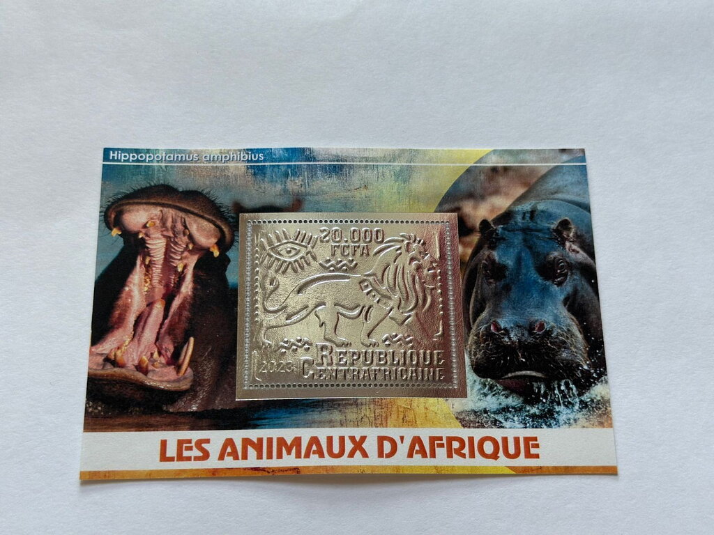 African Animals - Hippopotamuses