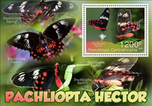 Souvenir Sheet, Butterflies - Pachliopta hector, Central African Republic,  , Animals (Fauna), Butterflies and Moths, Insects