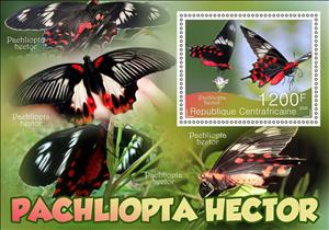 Souvenir Sheet, Butterflies - Pachliopta hector, Central African Republic,  , Animals (Fauna), Butterflies and Moths, Insects