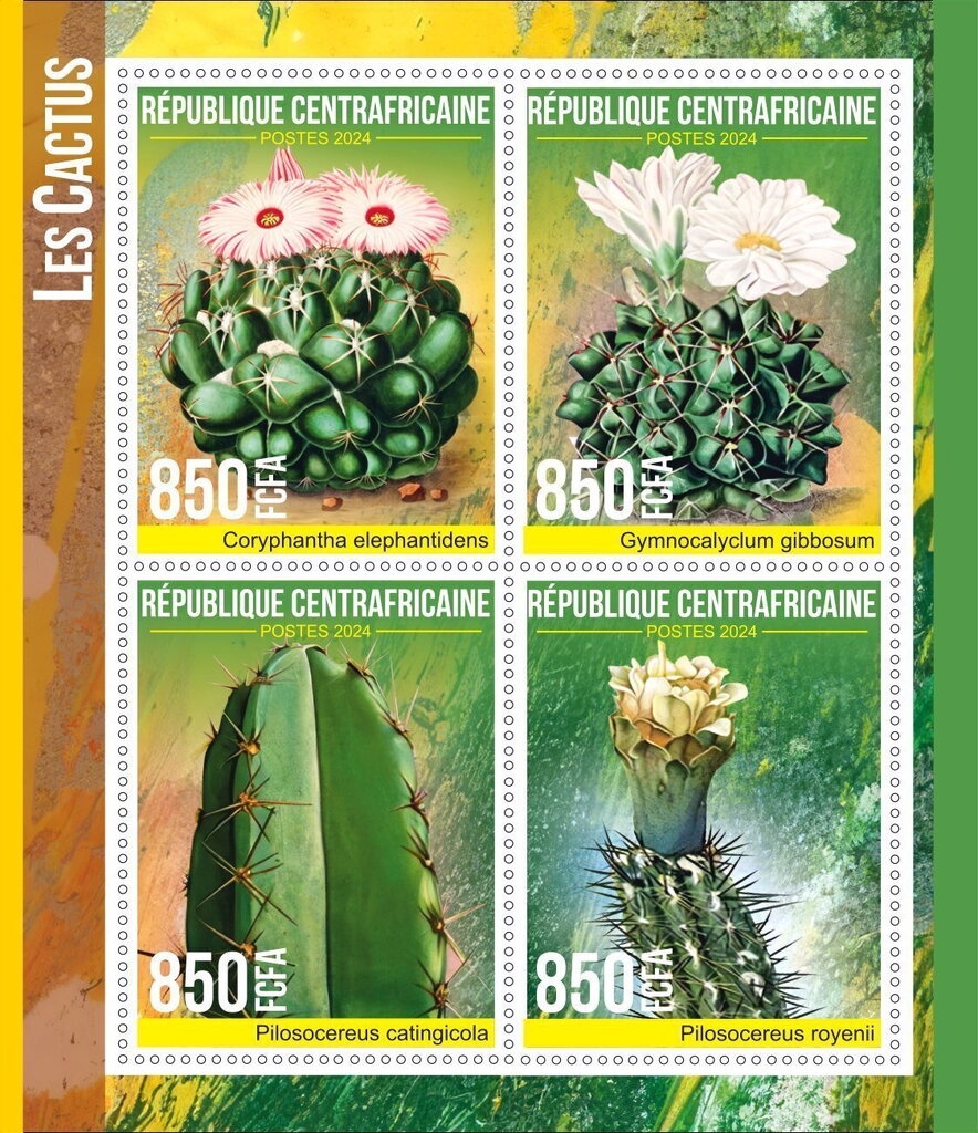 Cactus