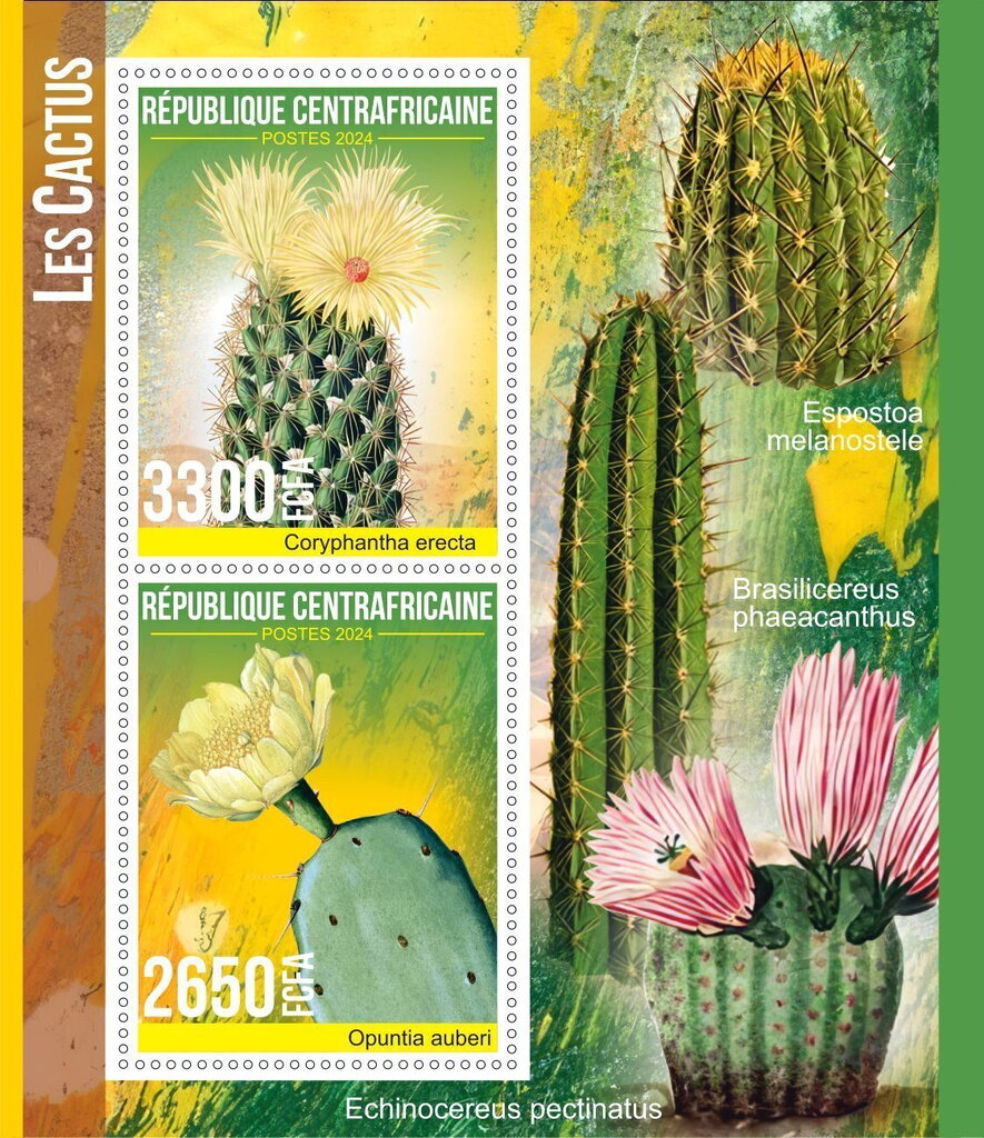 Cactus