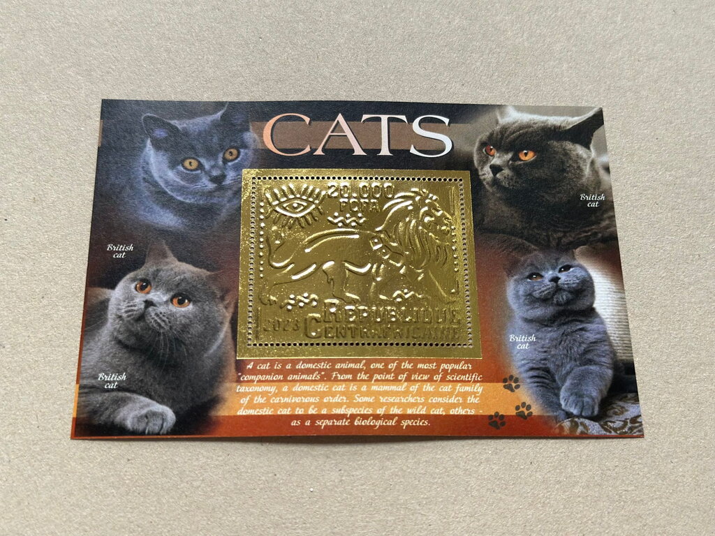 Cats