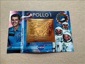 Souvenir Sheet, Space - Apollo 1 Astronauts, Central African Republic,  , Astronauts, Лев, Outer Space, Space Traveling, Космический корабли