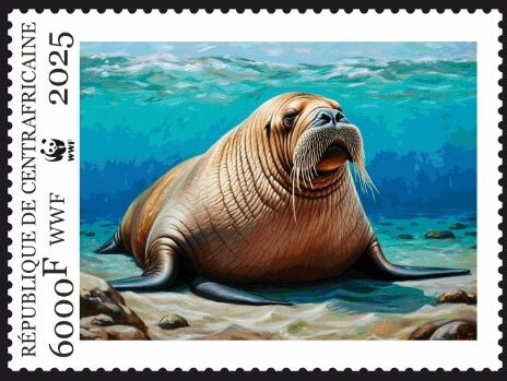 WWF - Sea Lion