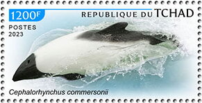 Stamp, Cephalorhynchus commersonii, Chad,  , Animals (Fauna), Dolphins, Sea (Marine) Mammals, Sea Life