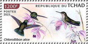 Stamp, Chlorostilbon alice, Chad,  , Animals (Fauna), Birds, Hummingbirds