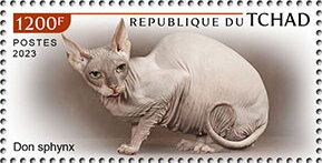 Don Sphynx