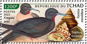 Stamp, Fregata ariel, Turcica monilifera, Trochus ferreirai, Chad,  , Animals (Fauna), Birds, Sea Life, Shells