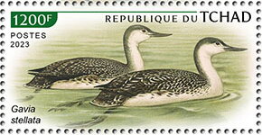 Stamp, Gavia stellata, Chad,  , Animals (Fauna), Birds