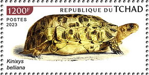 Stamp, Kinixys belliana, Chad,  , Animals (Fauna), Reptiles, Turtles