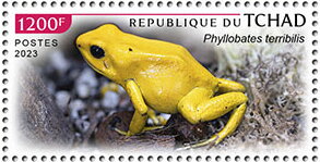 Phyllobates terribilis