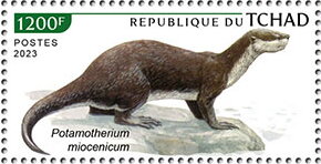 Potamotherium miocenicum
