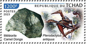 Pterodactylus antiquus, Camel Donga Meteorite