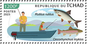 Rutilus rutilus, Oncorhynchus mykiss