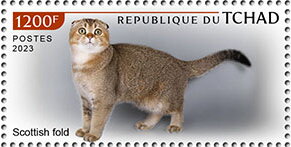 Scottish Fold