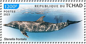 Stamp, Stenella frontalis, Chad,  , Animals (Fauna), Dolphins, Sea (Marine) Mammals, Sea Life