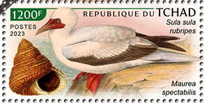 Stamp, Sula sula rubripes, Maurea spectabilis, Chad,  , Animals (Fauna), Birds, Sea Life, Shells