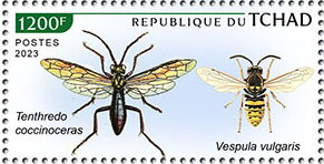 Tenthredo coccinoceras, Vespula vulgaris