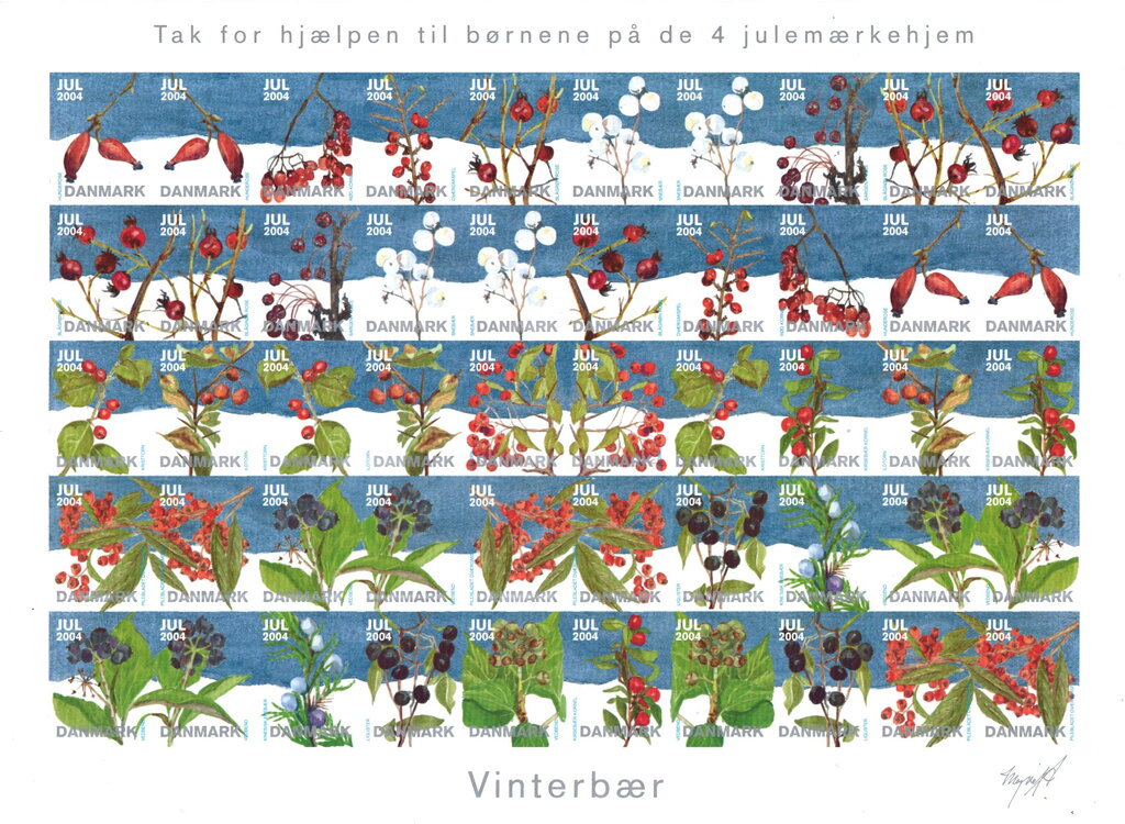 Winter Time Berries